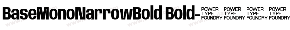 BaseMonoNarrowBold Bold字体转换